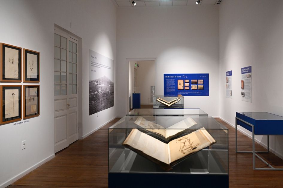 Exposición «Arsène Isabelle, 220 años» en el Museo Nacional de Historia Natural