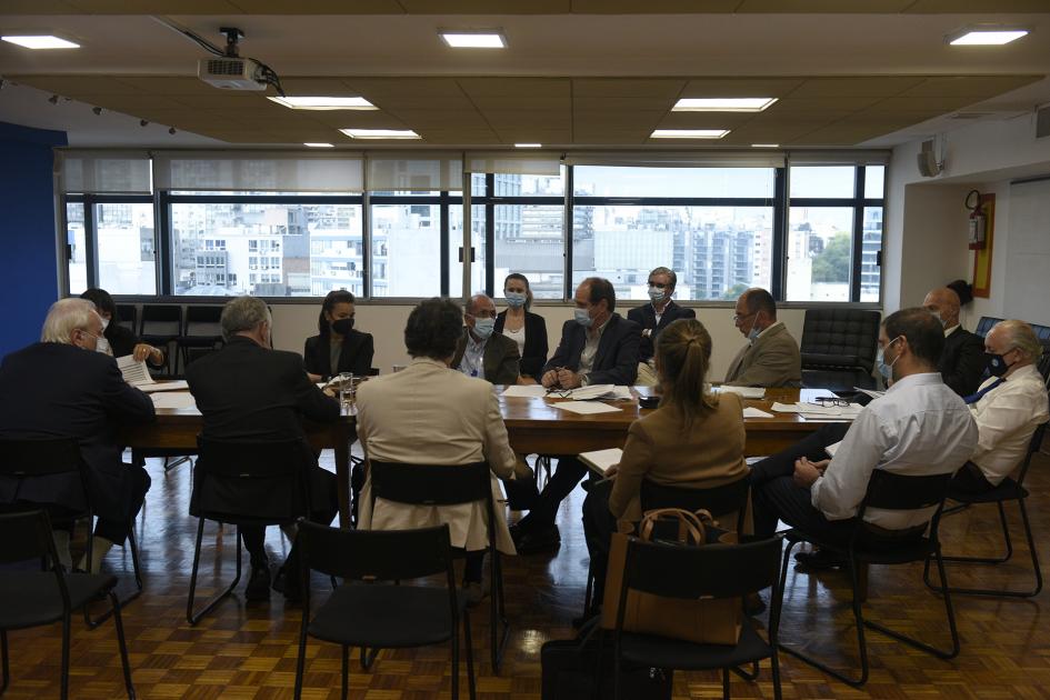 reunión de presentación de avances de consultorías Área Ciencia y Tecnología 