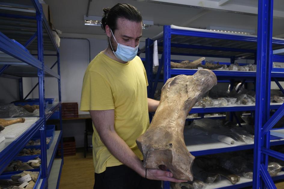 Hombre con una pieza paleontológica de gran tamaño