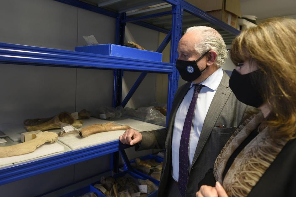 Ministro y subsecretaria mirando las piezas paleontológicas en el estudio