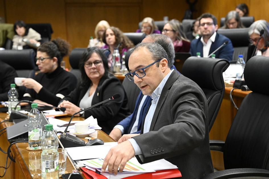 Director general en el parlamento