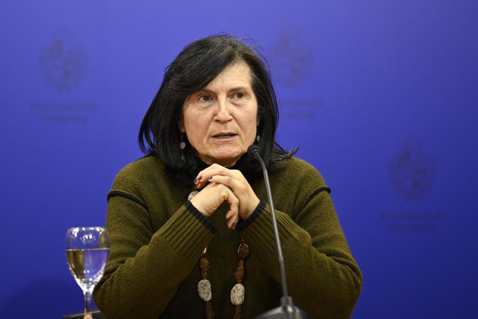 La representante de la Udelar ante la CPCN, Ana Frega.