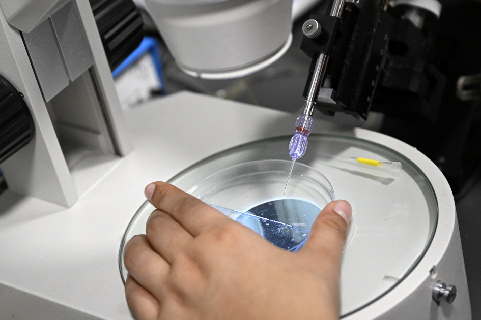 Investigación en microscopio