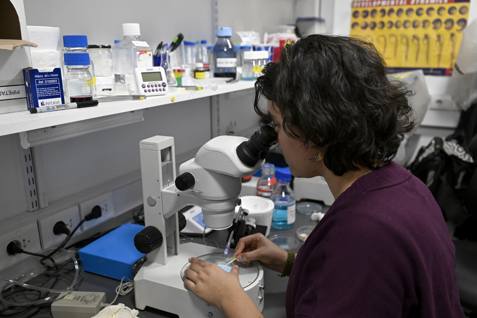 Científica en laboratorio