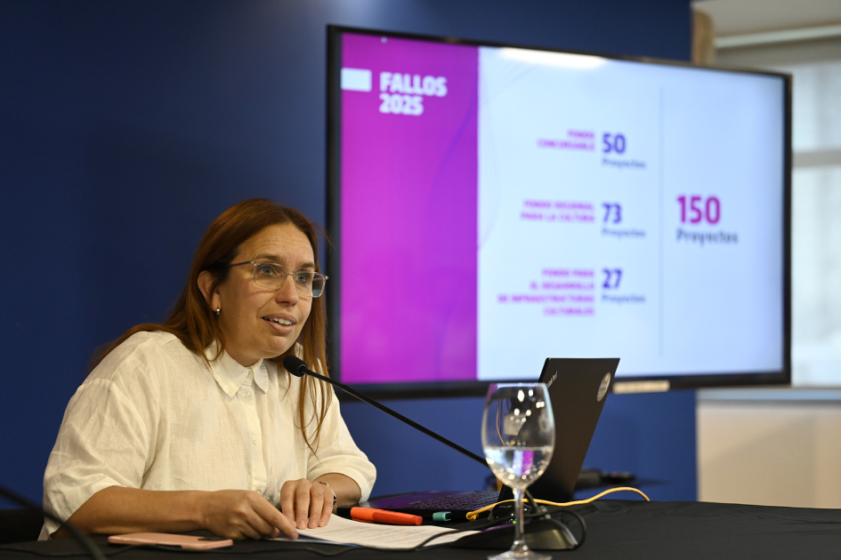 Fondos para la Cultura: fallos, balance y proyección