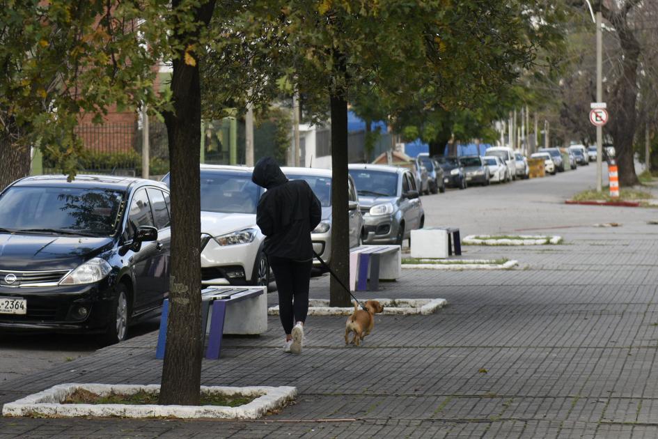 Persona paseando un perro y mirando para un banco donde se encuentra un libro