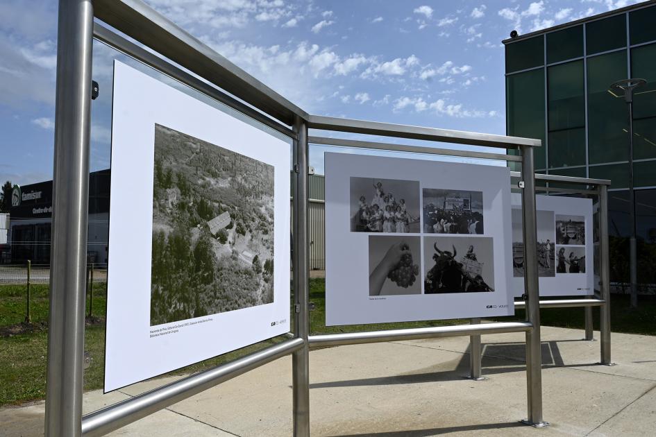 Fotogalería a cielo abierto de la historia de la vitivinicultura en Uruguay.