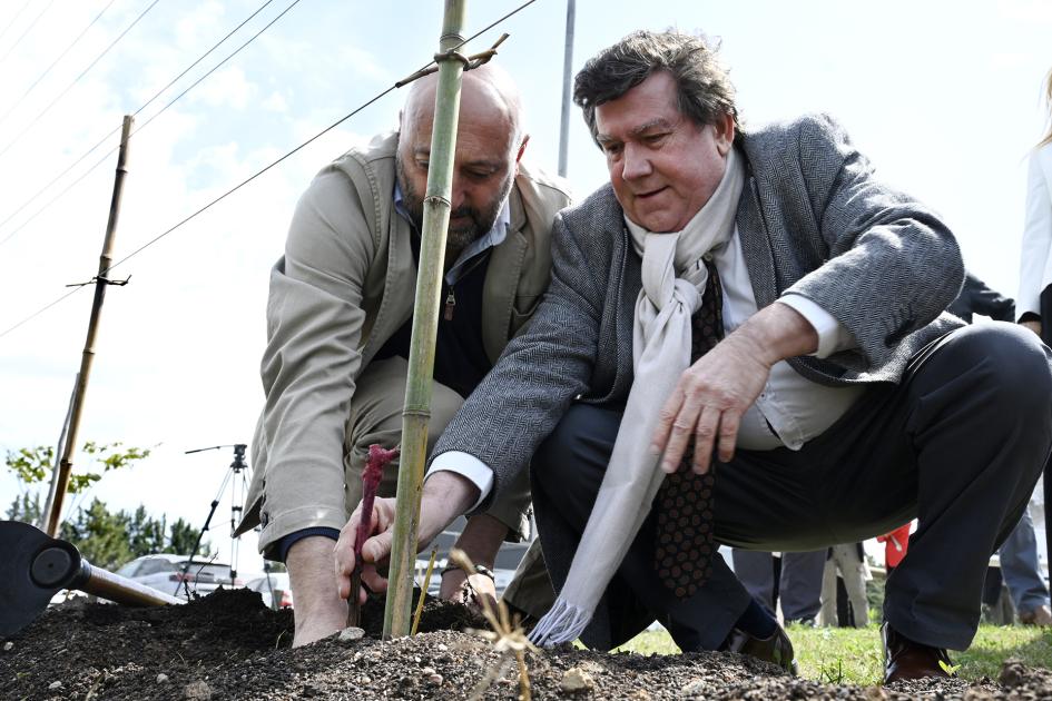 Inauguración de fila de viña.