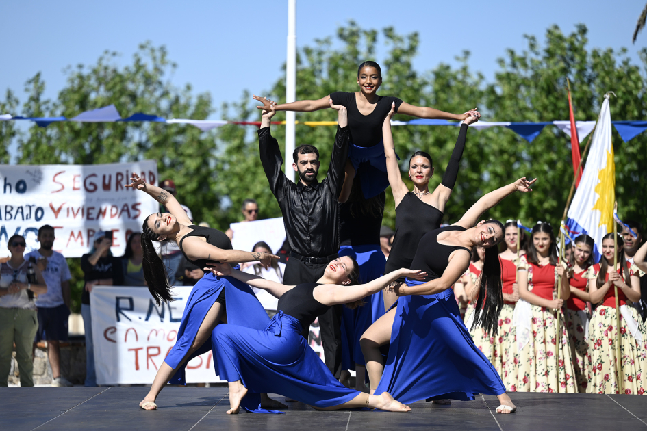 Danzas