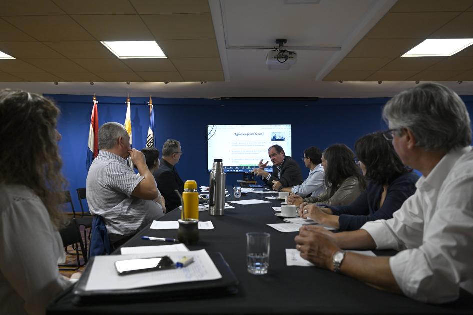 Lanzamiento del espacio de coordinación a nivel nacional - Agendas Regionales de I+D+i