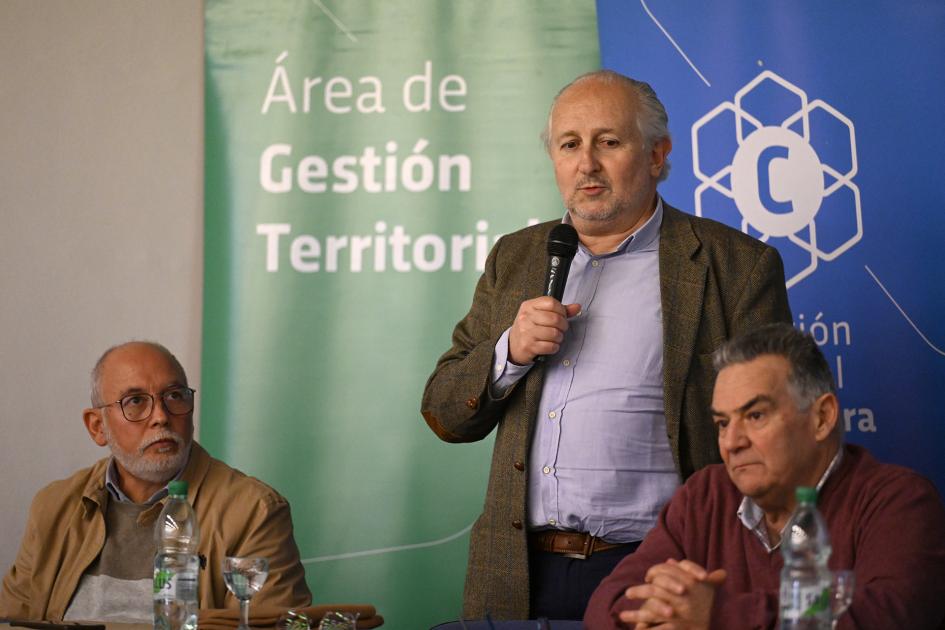 CCN Durazno
