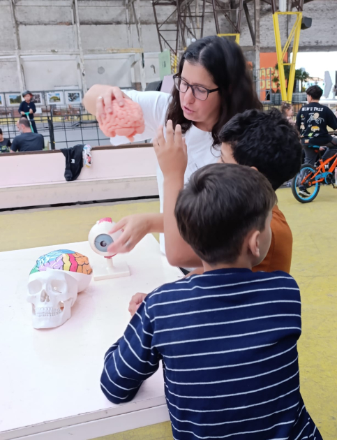 Adriana Migliaro, del Laboratorio de Bases Neurales de la Conducta, mostrando un modelo de cerebro.