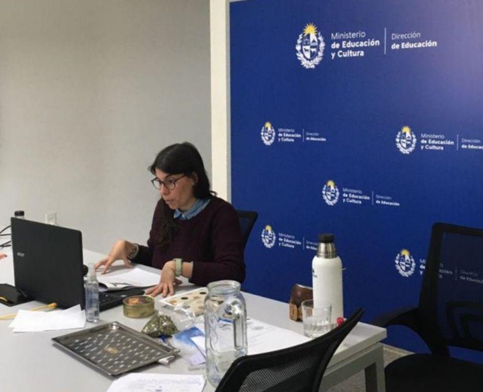 Hacia un sistema nacional de bibliotecas inclusivo Persona sentada realizando una videollamada