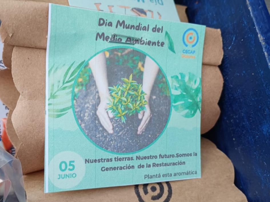 Cecap Dolores Maceta biodegradable