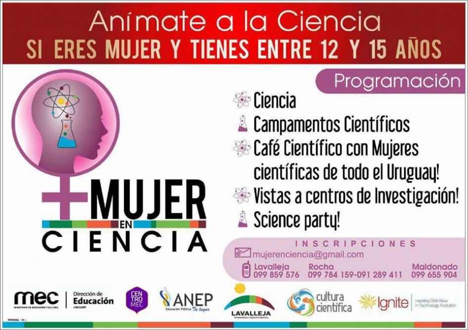 Afiche de la actividad