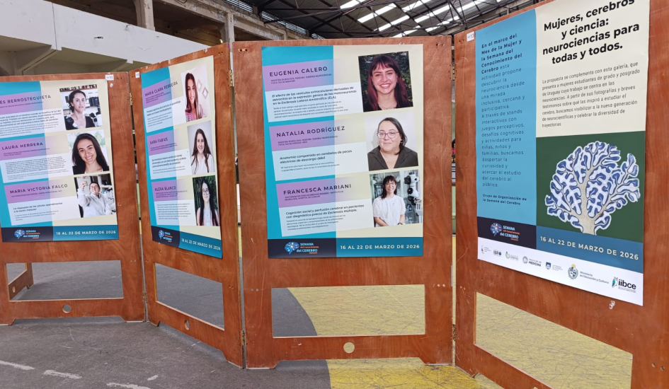 Paneles con testimonios de jóvenes mujeres neurocientíficas