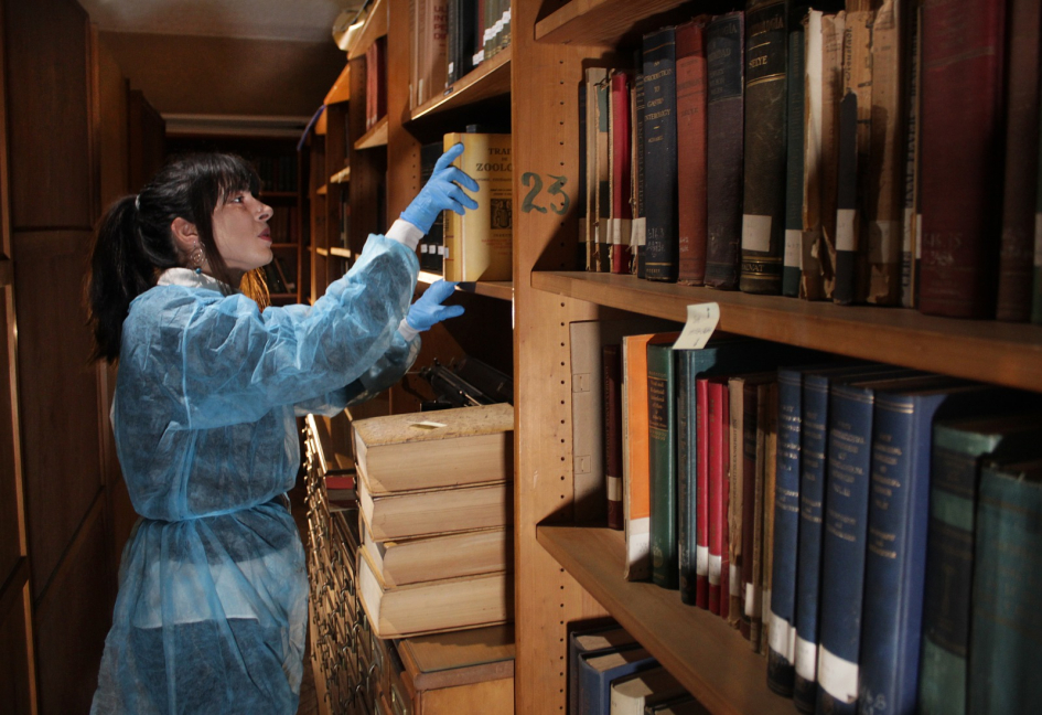 Joanna Martínez trabajando con los libros de la biblioteca del Instituto Clemente Estable