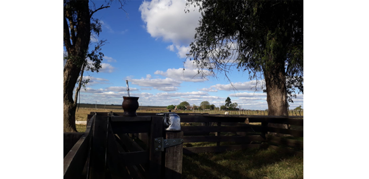 Mate sobre tranquera de madera en el campo