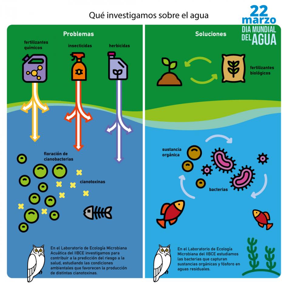 Infografía: ¿qué investigamos en el agua?