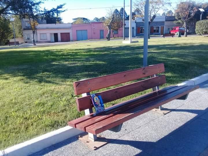 Suelta de libros Banco de plaza con libro