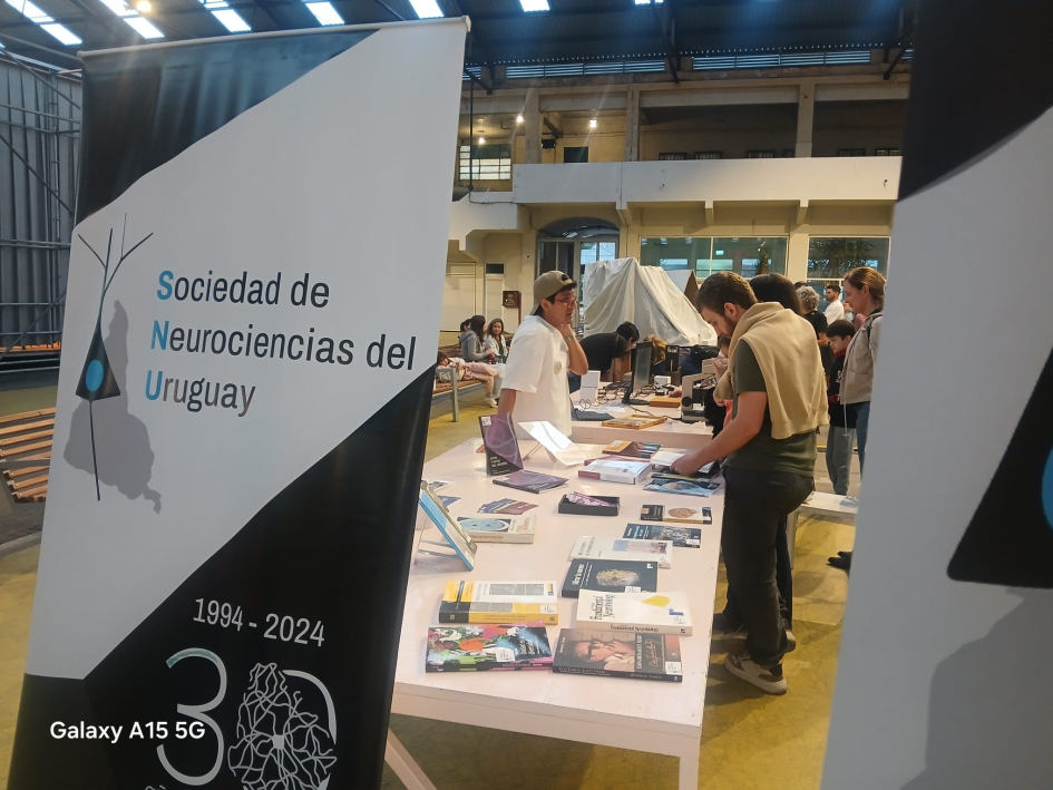 La Semana del Cerebro es auspiciada por la Sociedad de Neurociencias del Uruguay