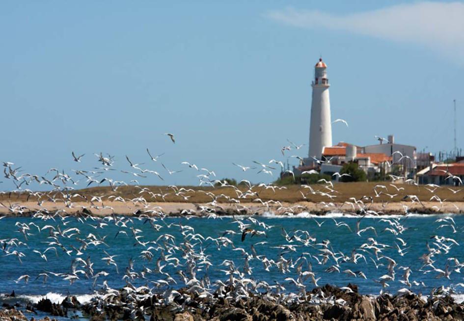Faro Punta del Este Faro Punta del Este