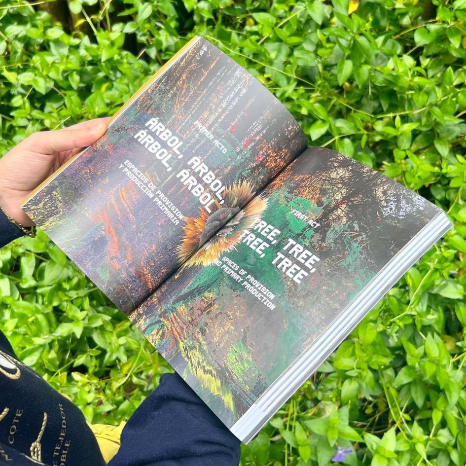 En ópera: escenarios futuros de una joven Ley Forestal En ópera: escenarios futuros de una joven Ley Forestal