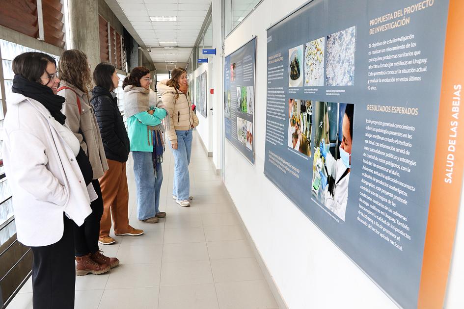 La Fotogalería "Clemente Investiga" se exhibe en el Cenur Litoral Norte, sede Paysandú. La Fotogalería "Clemente Investiga" se exhibe en el Cenur Litoral Norte, sede Paysandú.
