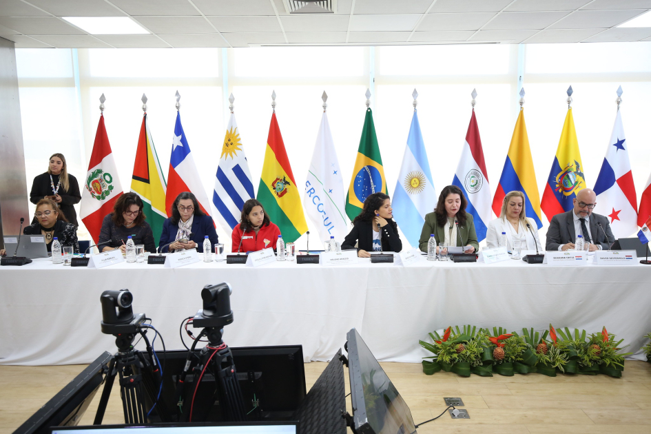 67.ª Reunión de Ministros de Educación del Mercosur. 67.ª Reunión de Ministros de Educación del Mercosur.