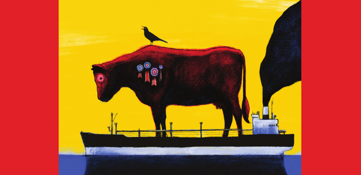ilustración toro premiado