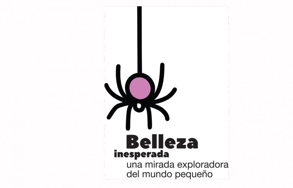 Belleza inesperada Belleza inesperada