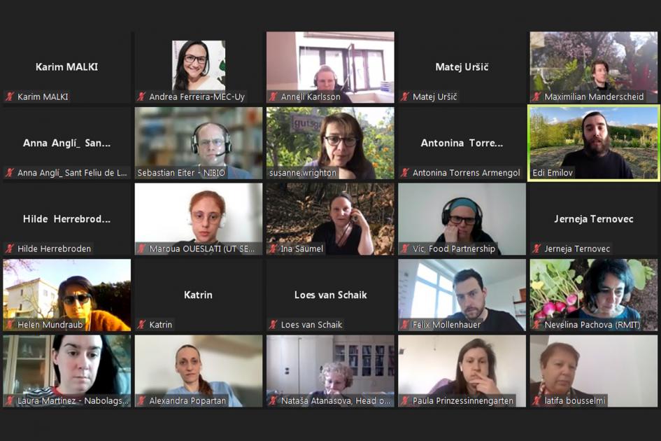 Captura de pantalla de la videoconferencia en la cual muestra a los participantes Captura de pantalla de la videoconferencia en la cual muestra a los participantes
