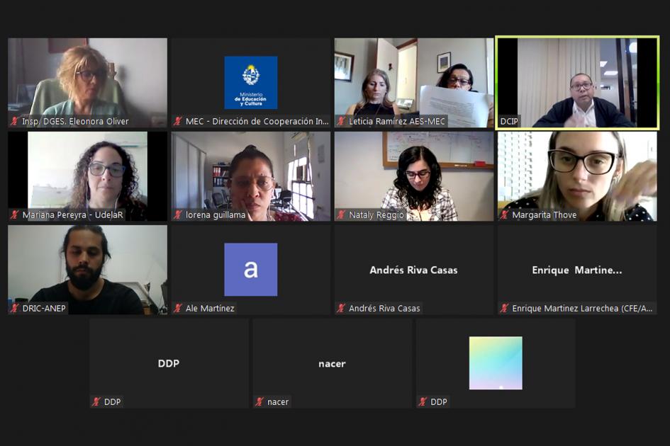 Cierre de actividades del Sector Educativo del MERCOSUR 2021 Captura de pantalla de la videoconferencia en la cual muestra a los participantes