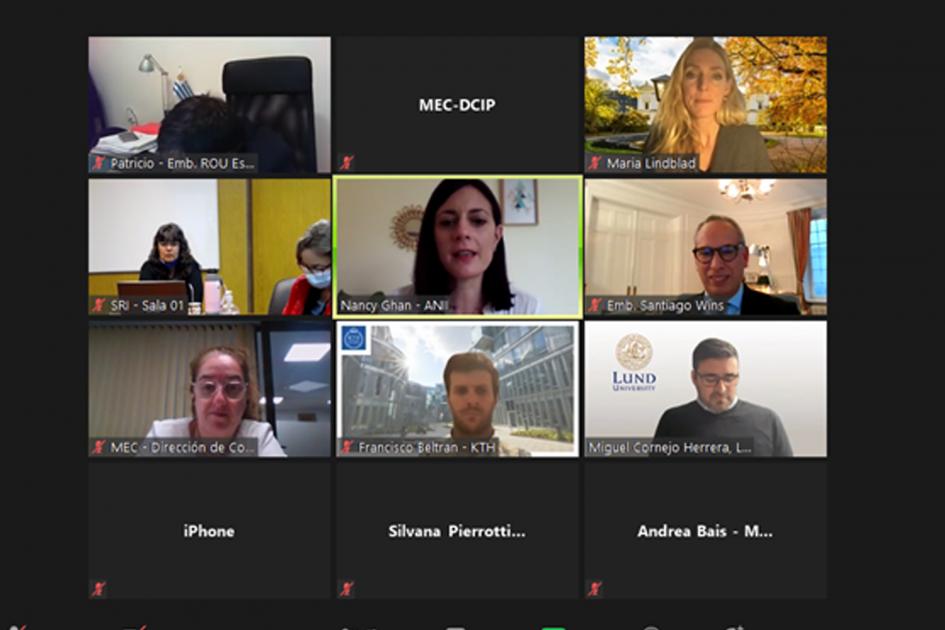 Participantes Participantes