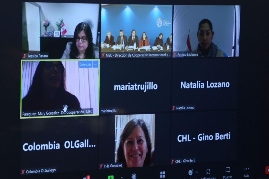 Reunión del Comité Coordinador Regional del Mercosur Educativo Captura de videoconferencia