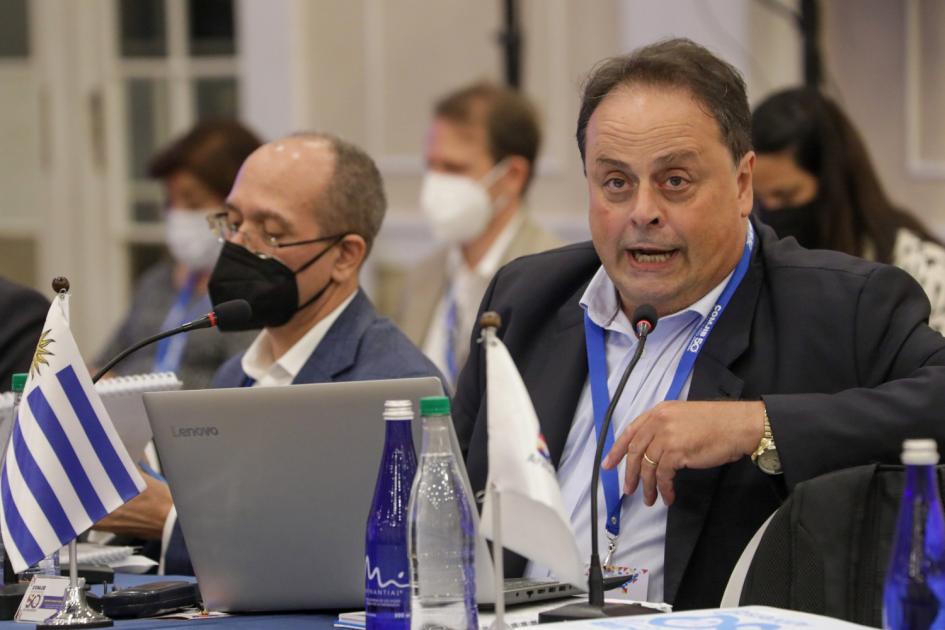 50º Aniversario de la Conferencia de ministros de Justicia de los Países Iberoamericanos (COMJIB) Dr. Gianero exponiendo