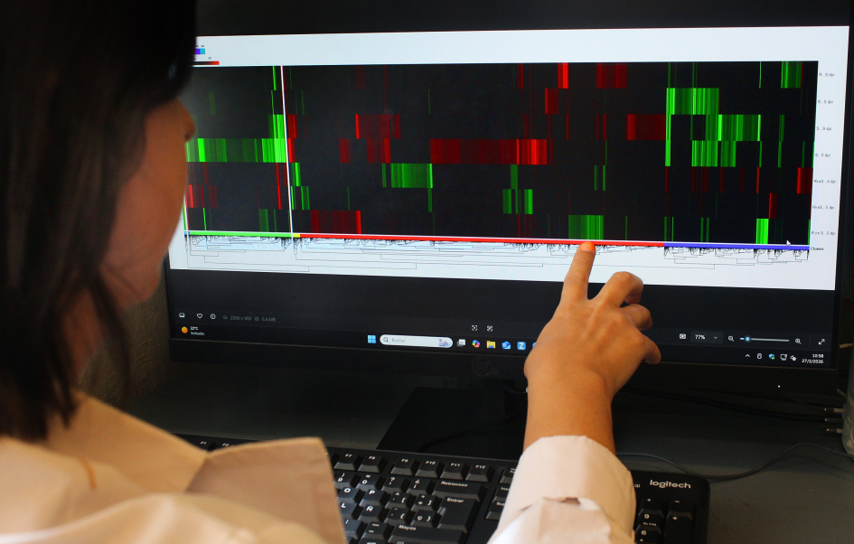 Mapa de calor de perfiles transcriptómicos