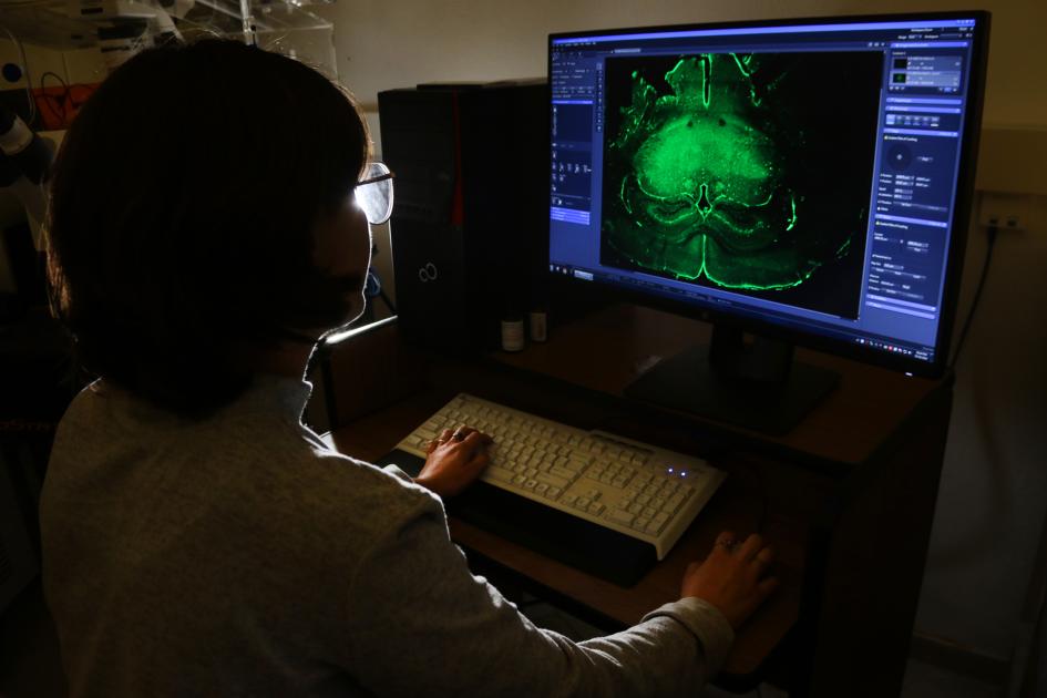 Investigadora observando en el microscopio confocal Investigadora observando en el microscopio confocal