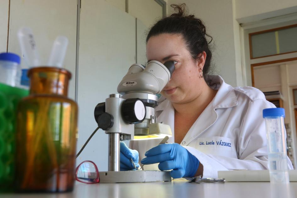 Investigadora del Laboratorio de Biología Celular del Sistema Nervioso Periférico.