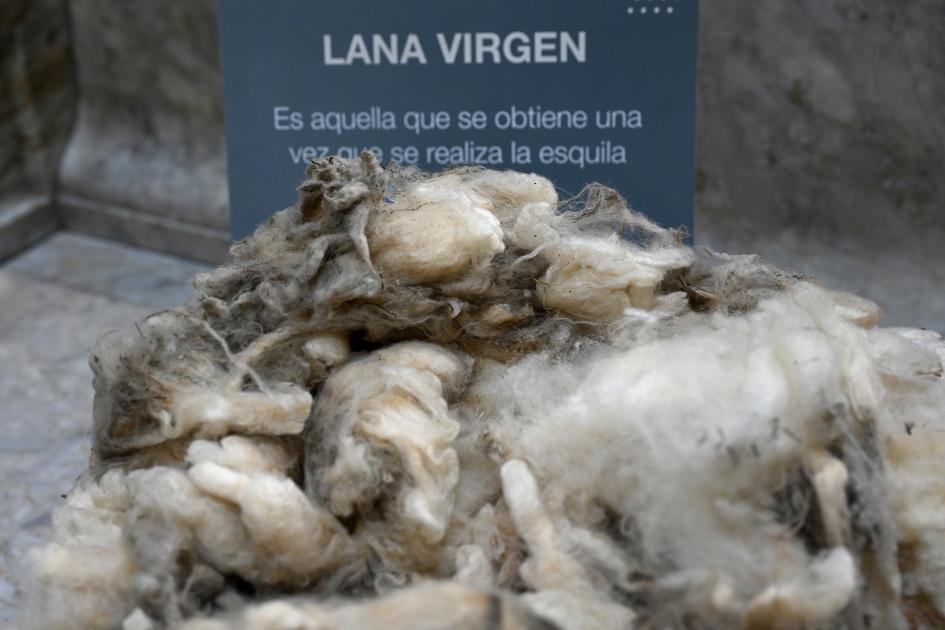 Lana virgen expuesta en el Palacio Legislativo.