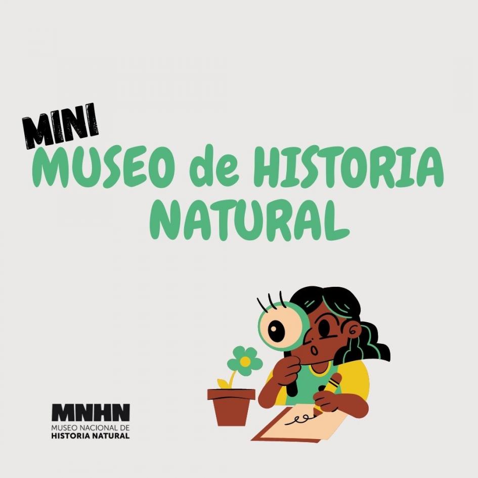 Mini Museo de Historia Natural