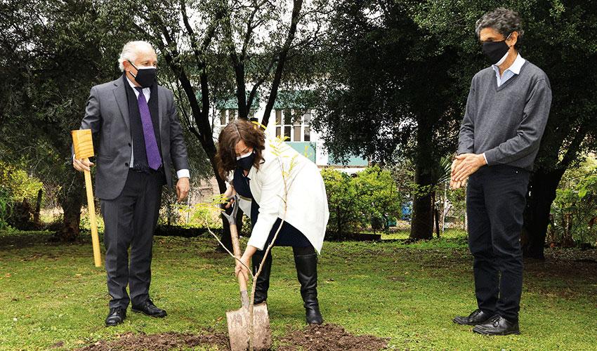 Embajadora Faye O´Connor preparando la plantación del Ibirapitá en el jardín del IIBCE Embajadora Faye O´Connor preparando la plantación del Ibirapitá en el jardín del IIBCE