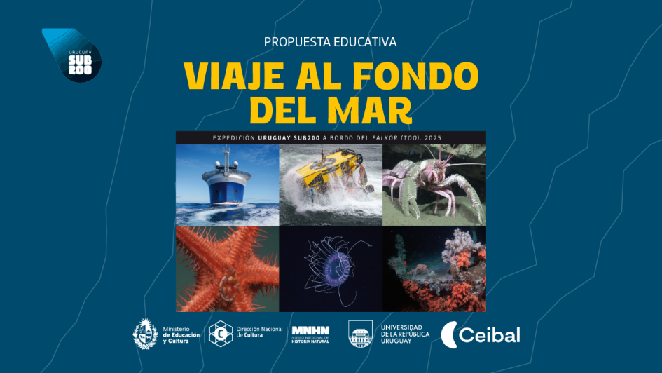 imagenes de la expedición URUGUAY SUB200
