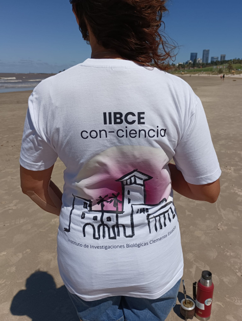 Remeras alusivas al 8M realizadas por la Comisión de Género del IIBCE