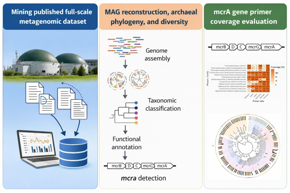 Resumen gráfico de la investigación Resumen gráfico de la investigación