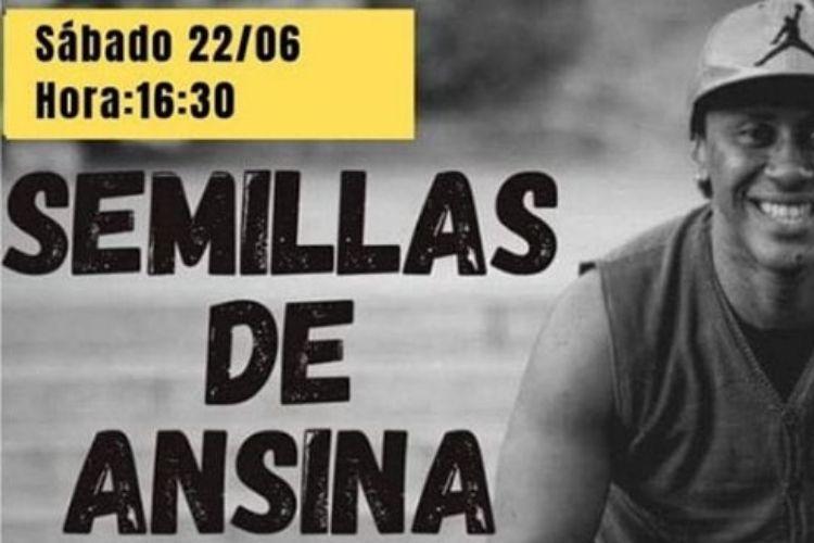 SEMILLAS DE ANSINA. SEMILLAS DE ANSINA.