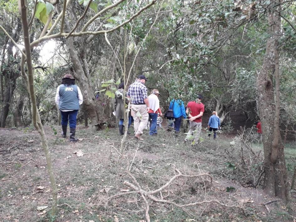 Recorrida por la zona Personas caminando