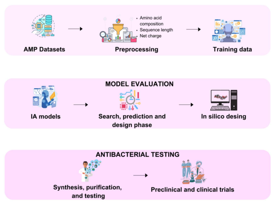Figura de la publicación: proceso de descubrimiento de AMP mediante IA.
