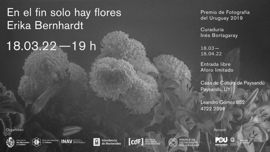 El INAV inaugura en la Casa de Cultura Paysandú la 2° edición del Premio de Fotografía del Uruguay El INAV inaugura en la Casa de Cultura Paysandú la 2° edición del Premio de Fotografía del Uruguay