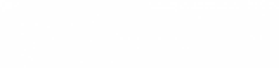 Isologotipo_Dirección Nacional de Asuntos Constitucionales y Legales_Diapo blanco_PNG